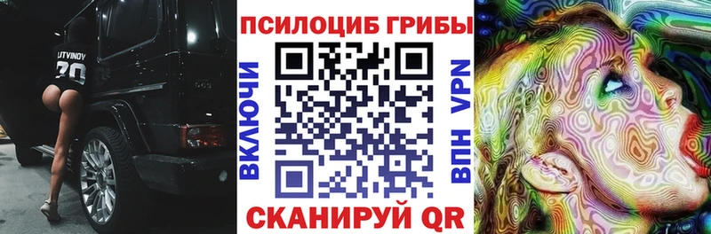 Купить  Мещовск  Псилоцибиновые грибы ЛСД 